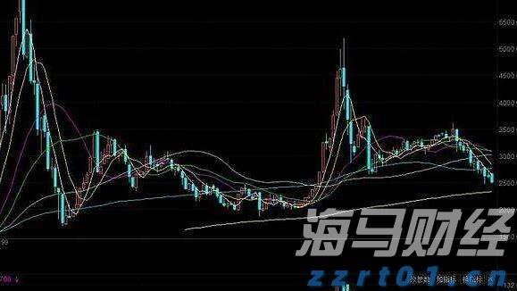 泰康第24届世纪圣典入围人员，HWP占比超40%